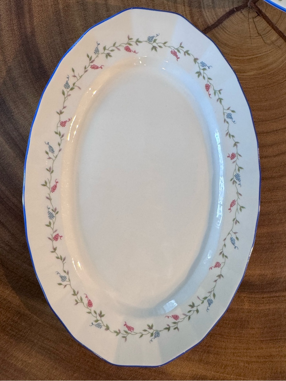 Vintage Fine Bohemian China Serving Platter